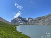 开云体育入口-法国瑞士狭胜，小组争夺激烈的简单介绍