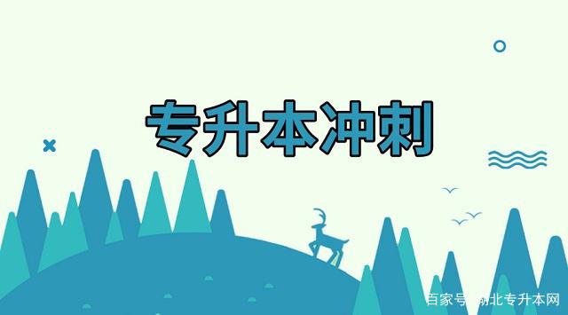 奋力超越顶尖对手，勇夺优胜冠军之环