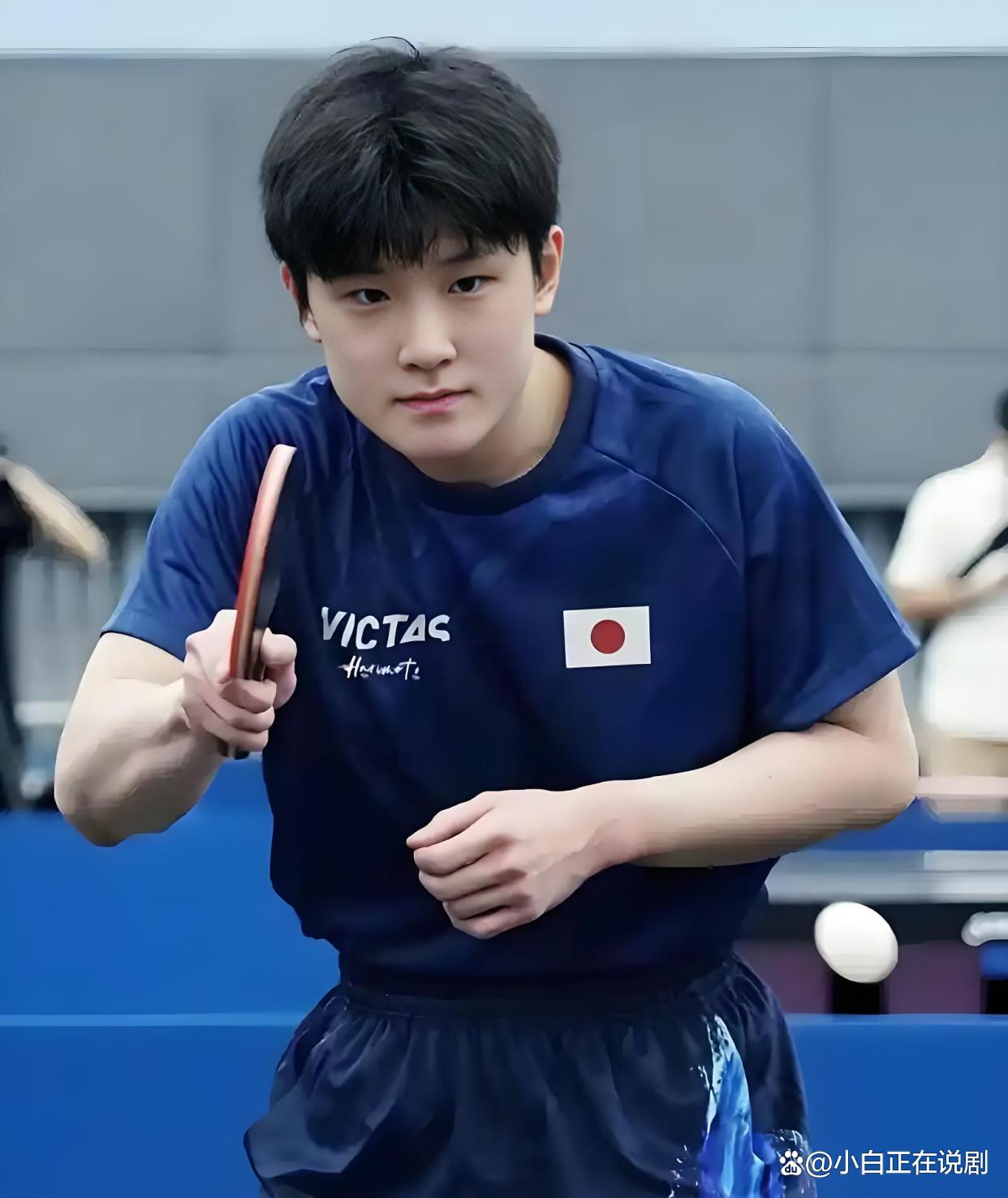 关于德国队鏖战日本队，张本智和惊艳四座的信息